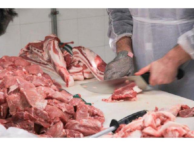 The meat industry  sells a complete business with licenses, equipment, fleet and everything it needs - 1