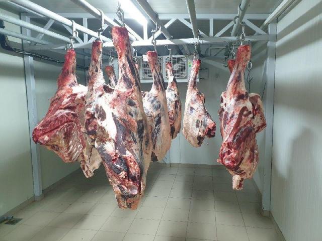 The meat industry  sells a complete business with licenses, equipment, fleet and everything it needs - 2