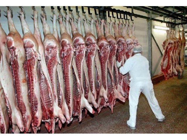 The meat industry  sells a complete business with licenses, equipment, fleet and everything it needs - 3