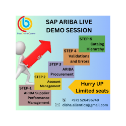 Become SAP Ariba certified online with Best Online Careers