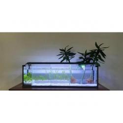 Aquarium with multiple partitions, LED Light, Filter System, Top lid, Sand Free Fishes