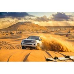 Desert Safari Dubai Vacancy